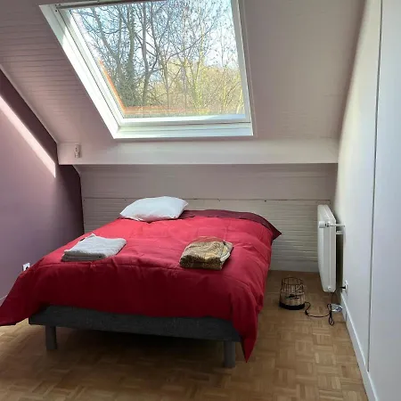 Architecte - Saint Cloud La Celle-Saint-Cloud