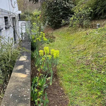 Architecte - Saint Cloud Villa La Celle-Saint-Cloud