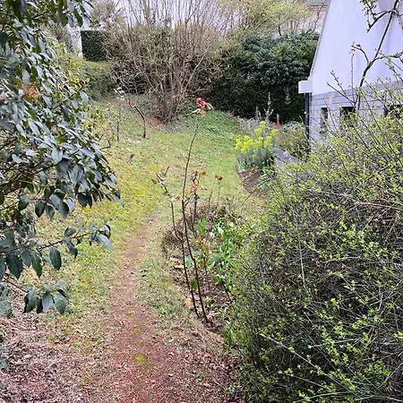 Architecte - Saint Cloud La Celle-Saint-Cloud