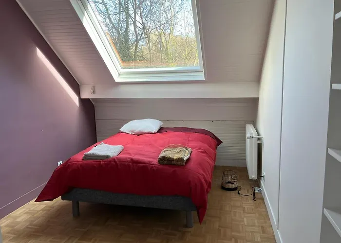 Architecte - Saint Cloud La Celle-Saint-Cloud
